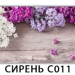 Стол раздвижной Трилогия с фотопечатью Орхидея C013 в Добрянке - dobryanka.mebel24.online | фото 16