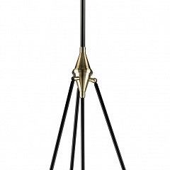 Светильник на штанге Lightstar Modena 816047 в Добрянке - dobryanka.mebel24.online | фото