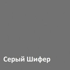 Юнона Шкаф торцевой 13.221 в Добрянке - dobryanka.mebel24.online | фото 2