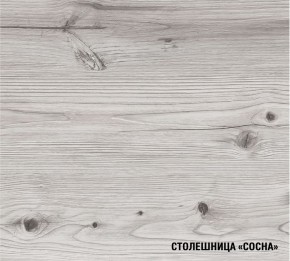 АСАЯ Кухонный гарнитур Экстра 2 (3000 мм) ПМ в Добрянке - dobryanka.mebel24.online | фото 8