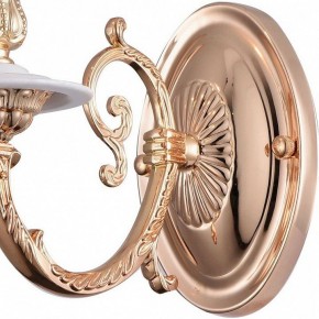 Бра Arte Lamp 8020 A8020AP-1WG в Добрянке - dobryanka.mebel24.online | фото 4