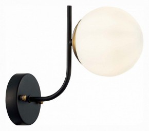 Бра EVOLUCE Ciane SLE1098-401-01 в Добрянке - dobryanka.mebel24.online | фото 3