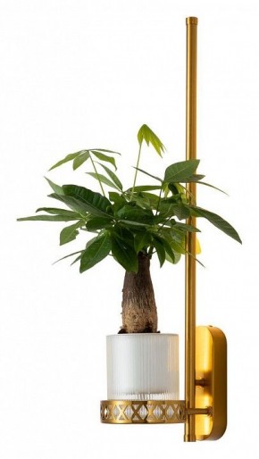 Бра Favourite Greenery 4050-1W в Добрянке - dobryanka.mebel24.online | фото 3