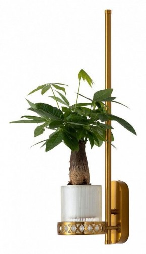 Бра Favourite Greenery 4050-1W в Добрянке - dobryanka.mebel24.online | фото 4