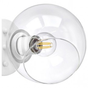 Бра Lightstar Beta 785616 в Добрянке - dobryanka.mebel24.online | фото 5