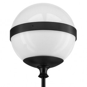 Бра Lightstar Globo 813617 в Добрянке - dobryanka.mebel24.online | фото 3