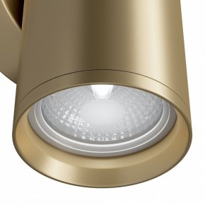 Бра Maytoni Focus S C068WL-02MG в Добрянке - dobryanka.mebel24.online | фото 4