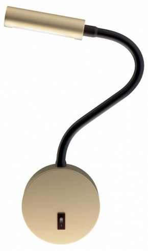 Бра Maytoni Stem C035WL-L3MG3K в Добрянке - dobryanka.mebel24.online | фото