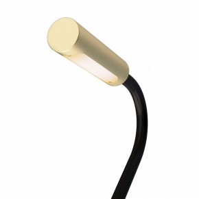 Бра Maytoni Stem C035WL-L3MG3K в Добрянке - dobryanka.mebel24.online | фото 6