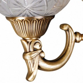 Бра MW-Light Афродита 2 317021902 в Добрянке - dobryanka.mebel24.online | фото 5