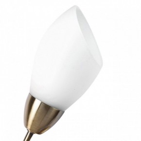 Бра MW-Light Нежность 7 356023001 в Добрянке - dobryanka.mebel24.online | фото 2