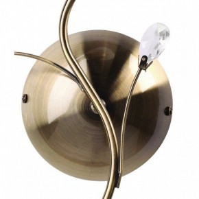Бра MW-Light Нежность 7 356023001 в Добрянке - dobryanka.mebel24.online | фото 3