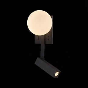 Бра с подсветкой ST-Luce Botelli SL1581.401.02 в Добрянке - dobryanka.mebel24.online | фото