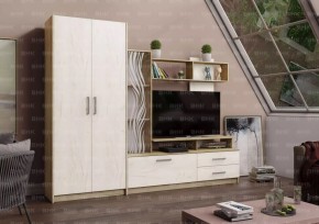 ДАРЬЯ Гостиная (Крафт серый/Крафт белый) в Добрянке - dobryanka.mebel24.online | фото