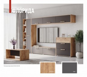 ФЛОРИДА Гостиная (модульная) дуб золотой/графит в Добрянке - dobryanka.mebel24.online | фото