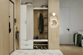 Гарнитур для прихожей Торонто в Добрянке - dobryanka.mebel24.online | фото 5