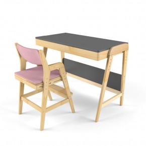 Комплект растущий стол и стул с чехлом 38 попугаев «Вуди» (Серый, Береза, Розовый) в Добрянке - dobryanka.mebel24.online | фото