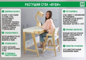 Комплект растущий стол и стул с чехлом 38 попугаев «Вуди» (Серый, Береза, Салют) в Добрянке - dobryanka.mebel24.online | фото