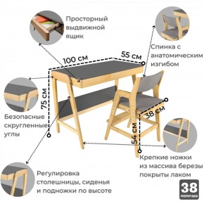 Комплект растущий стол и стул с чехлом 38 попугаев «Вуди» (Серый, Береза, Серый) в Добрянке - dobryanka.mebel24.online | фото