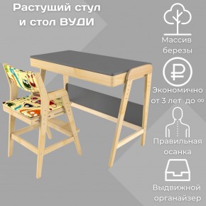 Комплект растущий стол и стул с чехлом 38 попугаев «Вуди» (Серый, Без покрытия, Монстры) в Добрянке - dobryanka.mebel24.online | фото