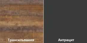Кухонный гарнитур угловой Трансильвания 2600х1600 мм (Стол. 26 мм) в Добрянке - dobryanka.mebel24.online | фото 3