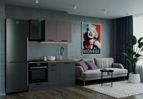 Кухонный гарнитур Виола 1600 (Стол. 26мм) в Добрянке - dobryanka.mebel24.online | фото
