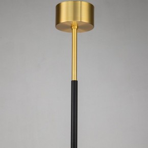 Люстра на штанге Favourite Maximo 2623-12P в Добрянке - dobryanka.mebel24.online | фото 7