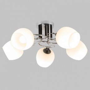 Люстра на штанге Imex MD.3618 MD.3618-5-S-CH+BK в Добрянке - dobryanka.mebel24.online | фото 2