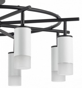 Люстра на штанге Lightstar Rullo LR7183681 в Добрянке - dobryanka.mebel24.online | фото 4