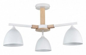 Люстра на штанге Lumion Colange 8095/3C в Добрянке - dobryanka.mebel24.online | фото