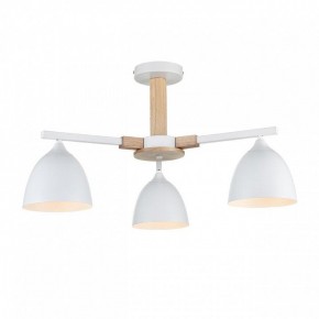 Люстра на штанге Lumion Colange 8095/3C в Добрянке - dobryanka.mebel24.online | фото 2