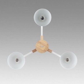 Люстра на штанге Lumion Colange 8095/3C в Добрянке - dobryanka.mebel24.online | фото 3