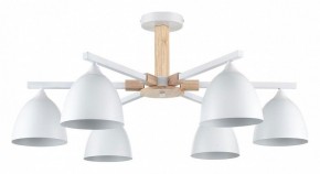 Люстра на штанге Lumion Colange 8095/6C в Добрянке - dobryanka.mebel24.online | фото
