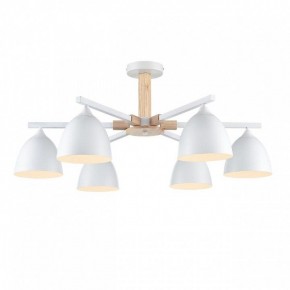 Люстра на штанге Lumion Colange 8095/6C в Добрянке - dobryanka.mebel24.online | фото 2