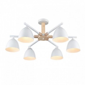 Люстра на штанге Lumion Colange 8095/6C в Добрянке - dobryanka.mebel24.online | фото 3