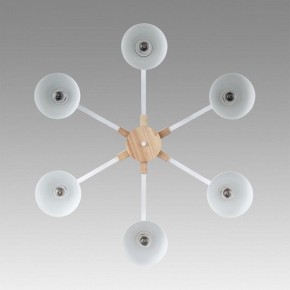 Люстра на штанге Lumion Colange 8095/6C в Добрянке - dobryanka.mebel24.online | фото 4