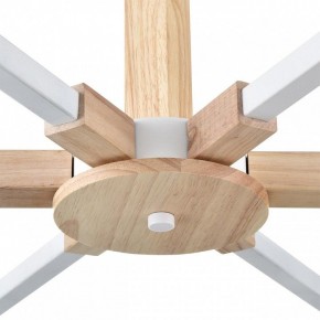 Люстра на штанге Lumion Colange 8095/6C в Добрянке - dobryanka.mebel24.online | фото 7