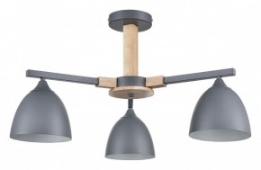 Люстра на штанге Lumion Colange 8096/3C в Добрянке - dobryanka.mebel24.online | фото