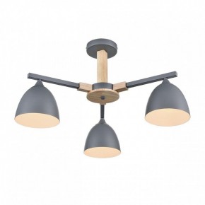 Люстра на штанге Lumion Colange 8096/3C в Добрянке - dobryanka.mebel24.online | фото 3