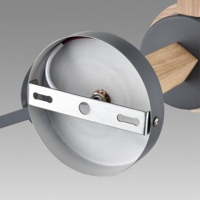 Люстра на штанге Lumion Colange 8096/3C в Добрянке - dobryanka.mebel24.online | фото 6