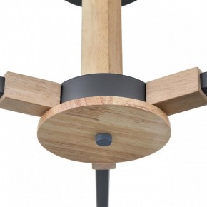 Люстра на штанге Lumion Colange 8096/3C в Добрянке - dobryanka.mebel24.online | фото 7