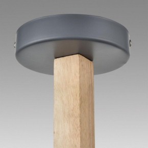 Люстра на штанге Lumion Colange 8096/3C в Добрянке - dobryanka.mebel24.online | фото 9