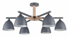 Люстра на штанге Lumion Colange 8096/6C в Добрянке - dobryanka.mebel24.online | фото