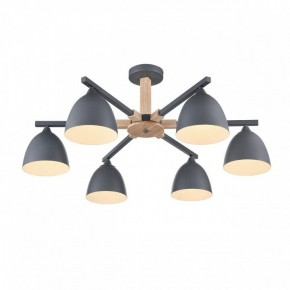 Люстра на штанге Lumion Colange 8096/6C в Добрянке - dobryanka.mebel24.online | фото 3
