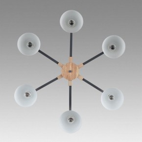 Люстра на штанге Lumion Colange 8096/6C в Добрянке - dobryanka.mebel24.online | фото 4