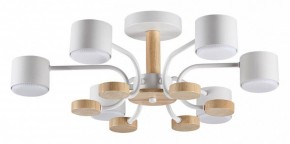 Люстра на штанге Lumion Rondo 8231/6C в Добрянке - dobryanka.mebel24.online | фото