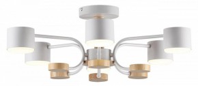 Люстра на штанге Lumion Rondo 8231/6C в Добрянке - dobryanka.mebel24.online | фото 2