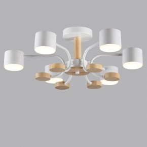 Люстра на штанге Lumion Rondo 8231/6C в Добрянке - dobryanka.mebel24.online | фото 4