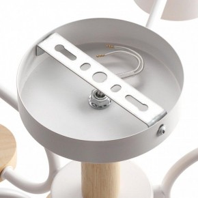 Люстра на штанге Lumion Rondo 8231/6C в Добрянке - dobryanka.mebel24.online | фото 6
