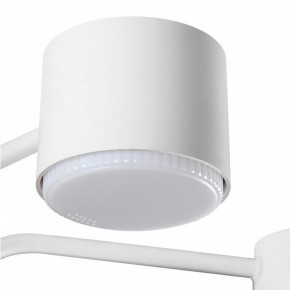 Люстра на штанге Lumion Rondo 8231/6C в Добрянке - dobryanka.mebel24.online | фото 7